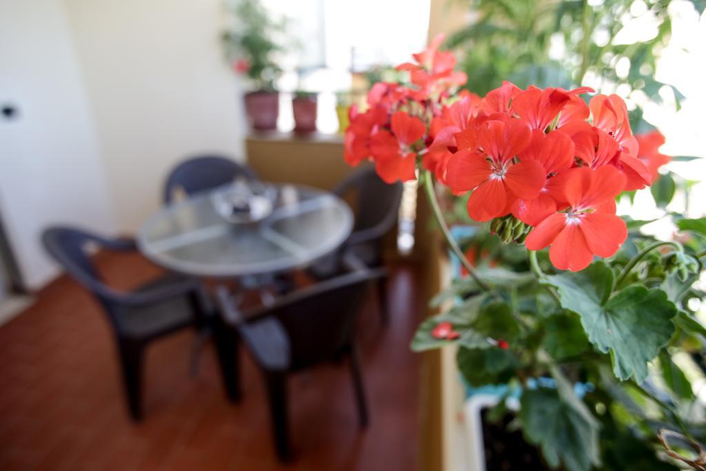Adriatic Apartments Albania Дуррес Екстер'єр фото